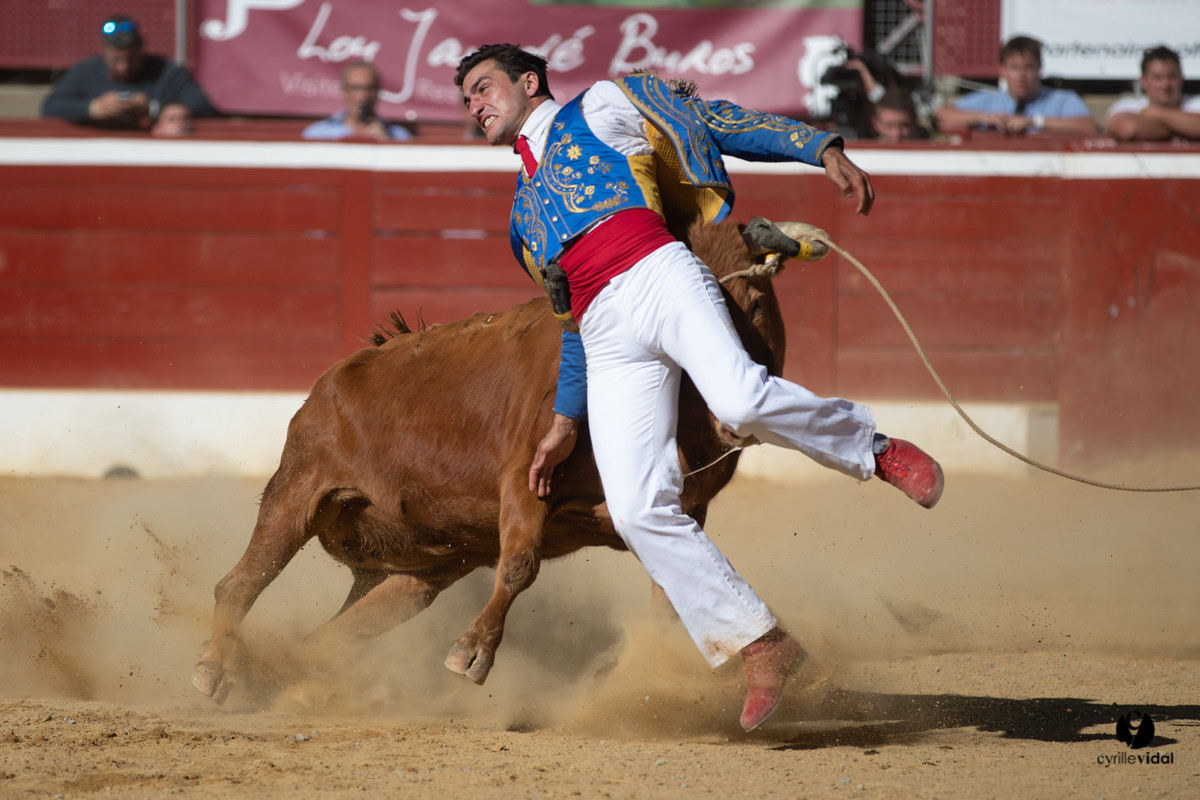 Mont-de-Marsan championnat de France de course landaise 2019