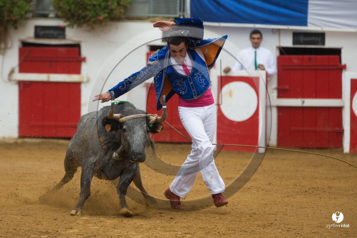 Nogaro Championnatde France de Course Landaise 2017