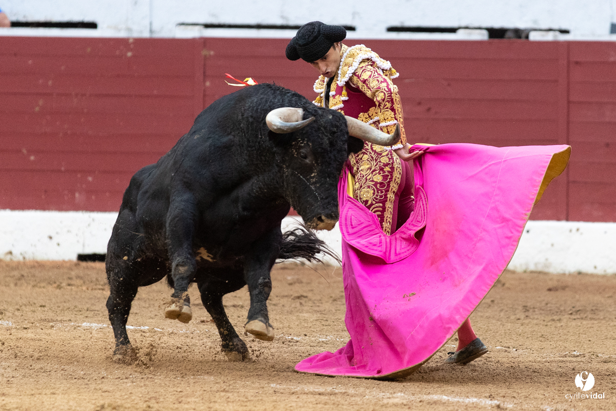 Corrida d'Aire sur l'Adour
