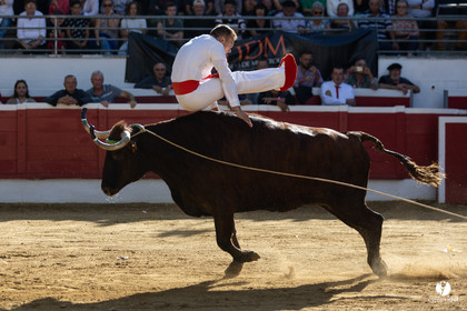 Nogaro Championnat de France de course landaise 2022