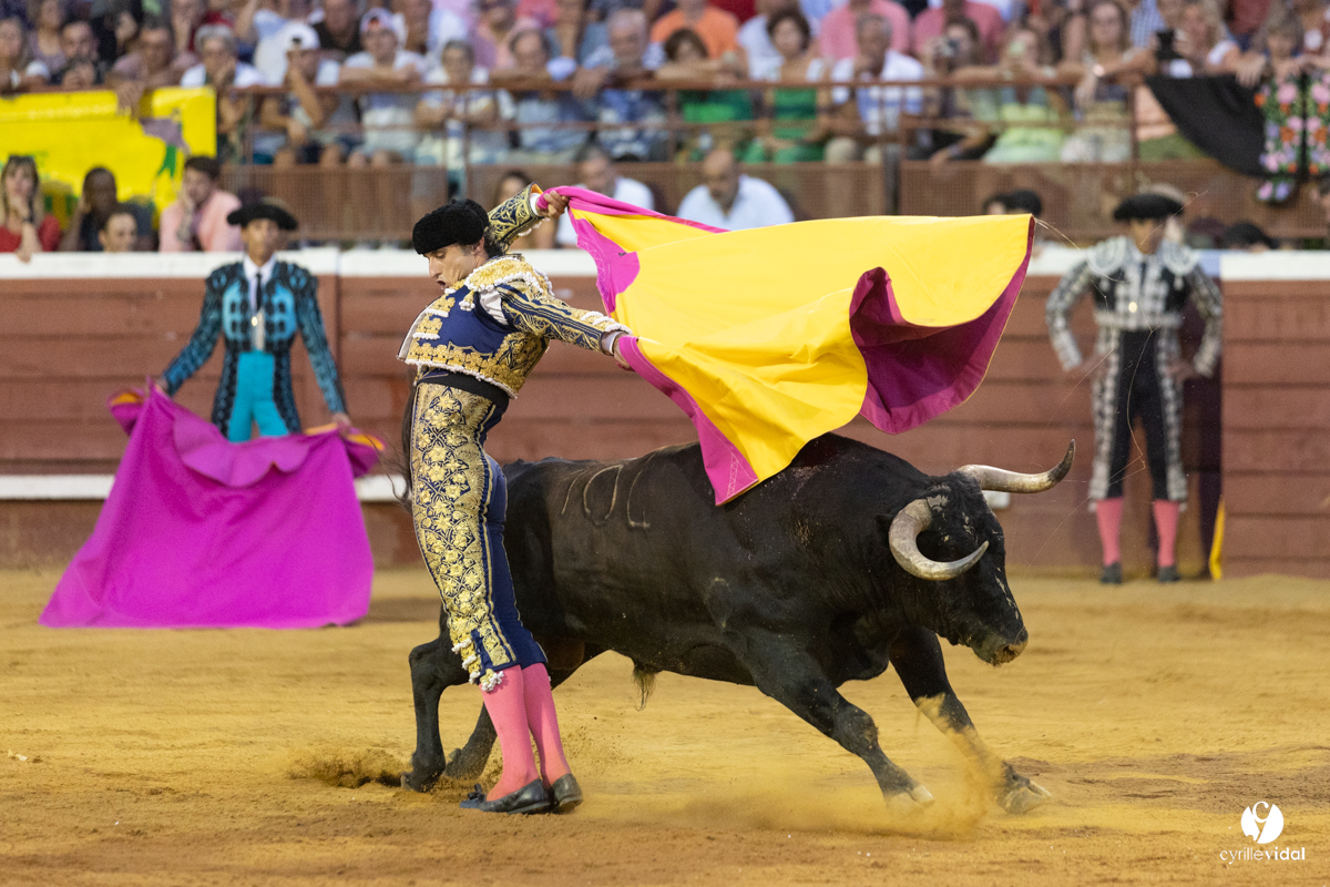 Corrida de Villeneuve-de-Marsan