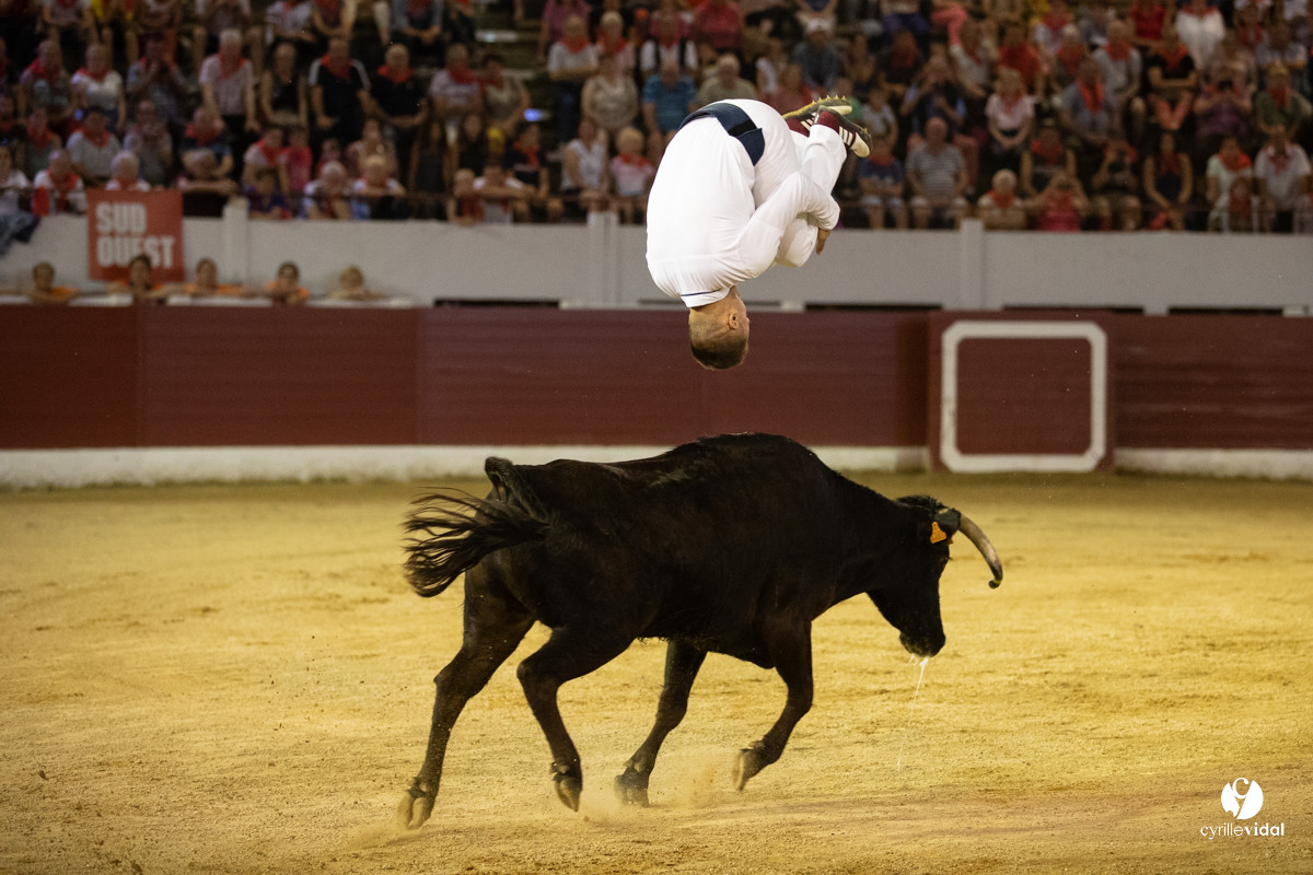 Landes émotions à Aire-sur-l'Adour