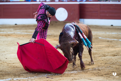 Mont-de-Marsan corrida de Jandilla pour Padilla - Talavante - Roca Rey