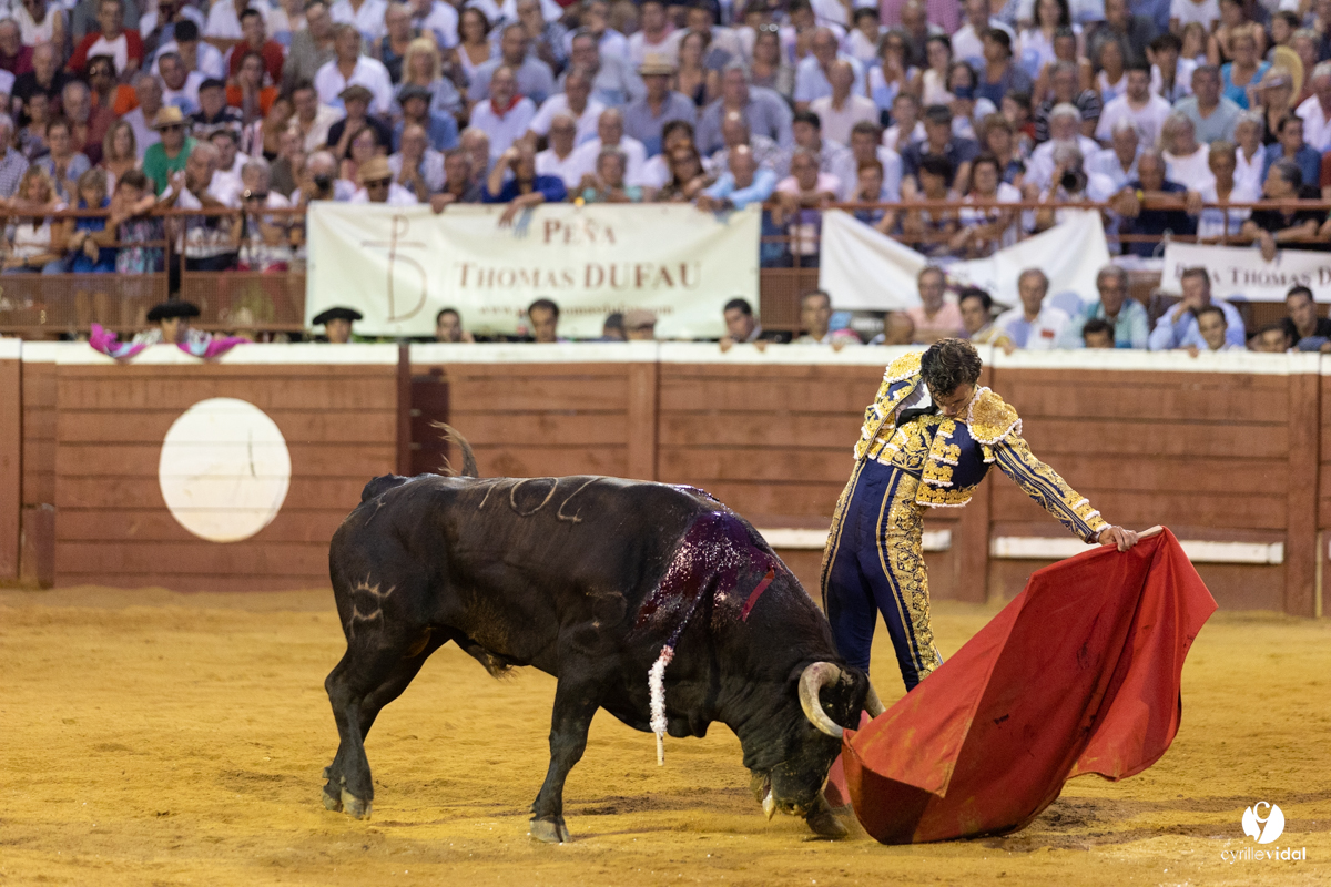 Corrida de Villeneuve-de-Marsan