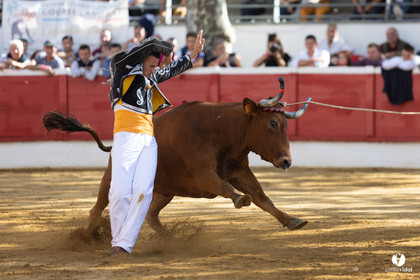 Nogaro Championnat de France de course landaise 2022