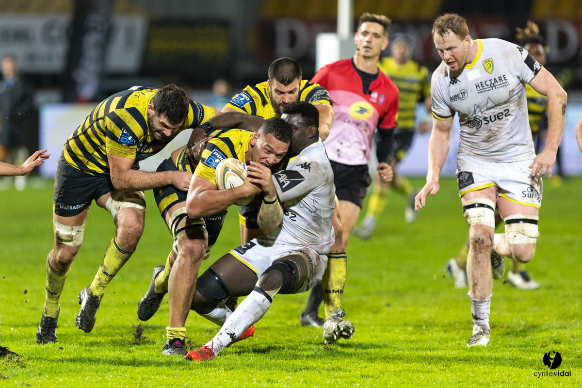 Stade Montois Rugby - Carcassonne