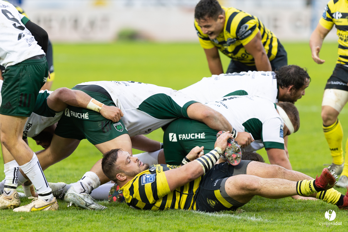 Stade Montois Rugby - Montauban