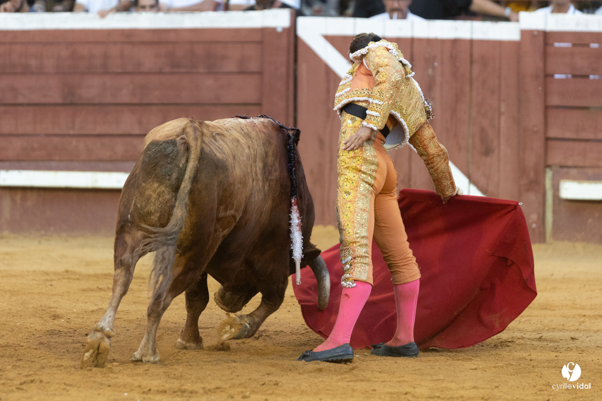 Corrida de Villeneuve-de-Marsan