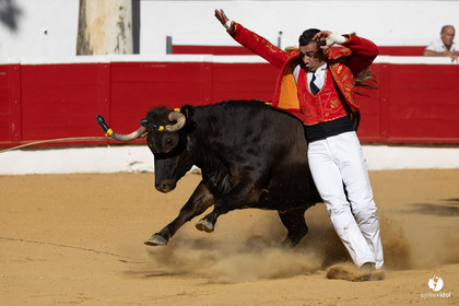 Nogaro Corne d'Or 2023