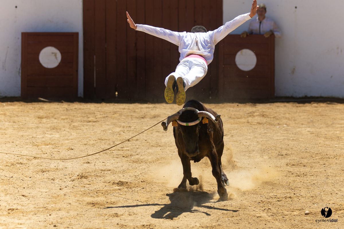 Saint-Cricq Chalosse course landaise de promotion Ganadéria Deyris Cuadrilla Jérémy Lafitte