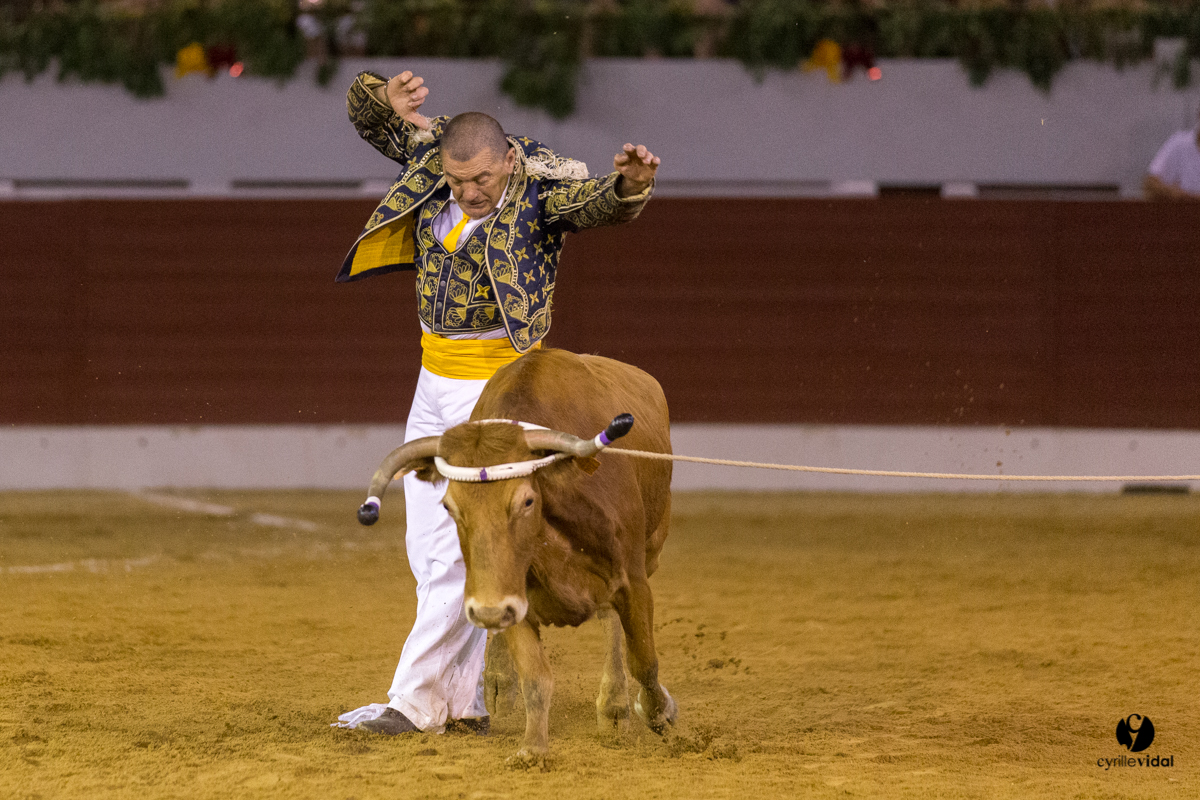 Aire sur l'Adour course landaise génération Aturine