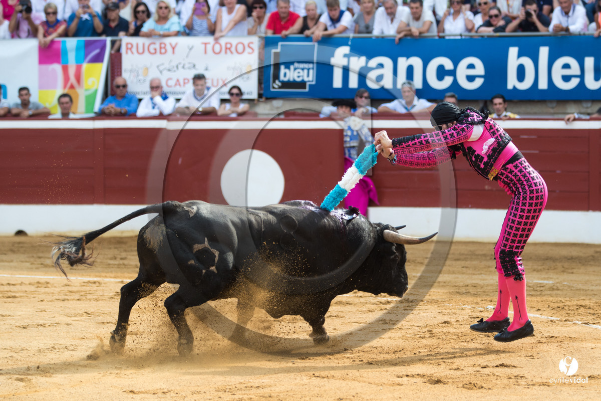 Mont-de-Marsan corrida de Jandilla pour Padilla - Talavante - Roca Rey