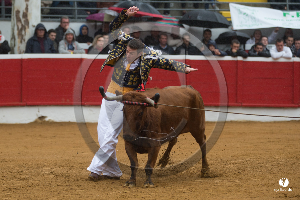 Nogaro Championnatde France de Course Landaise 2017