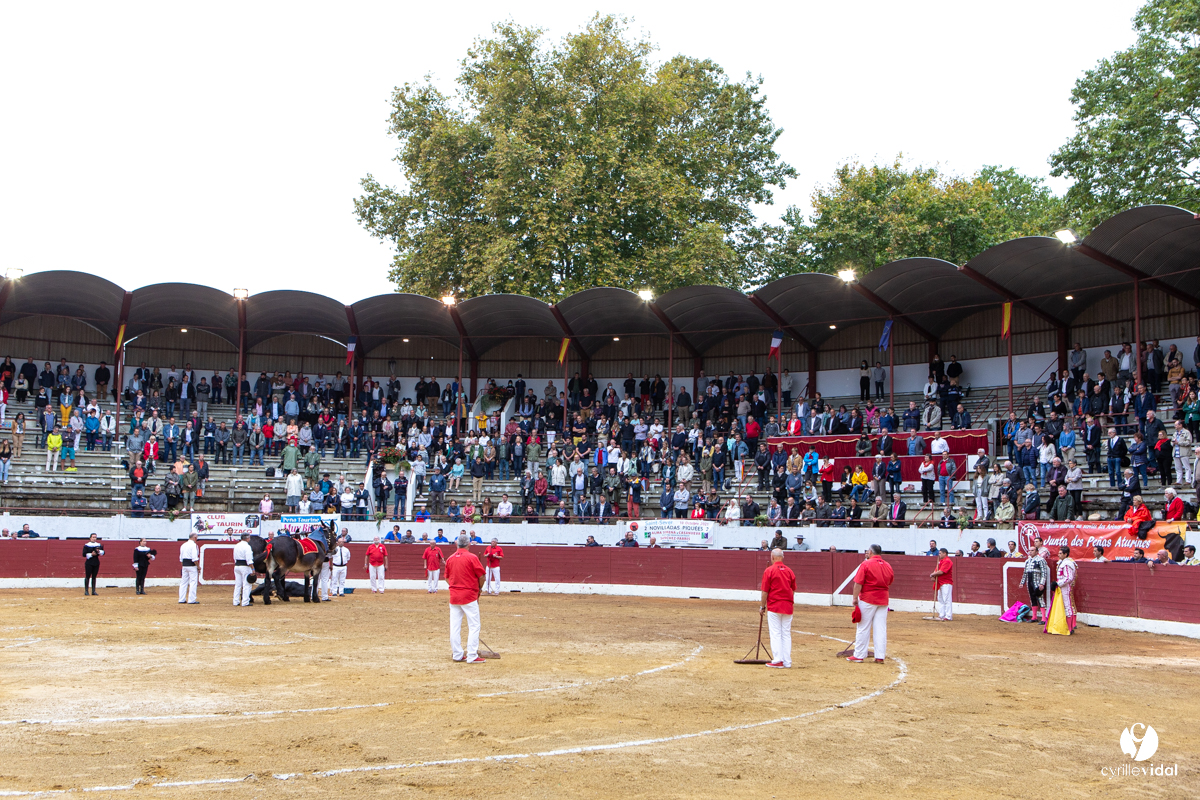 Corrida d'Aire sur l'Adour