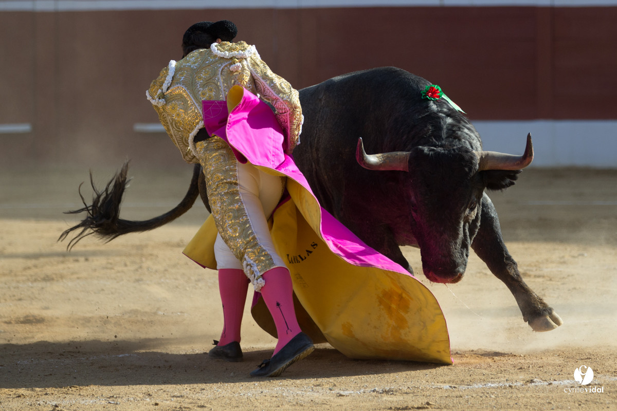 Mont-de-Marsan corrida d'Adolfo Martin