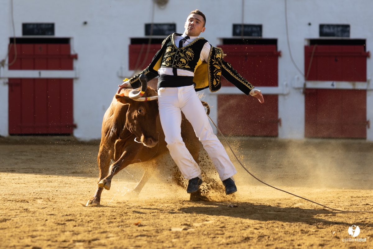 Nogaro Championnat de France de course landaise 2022