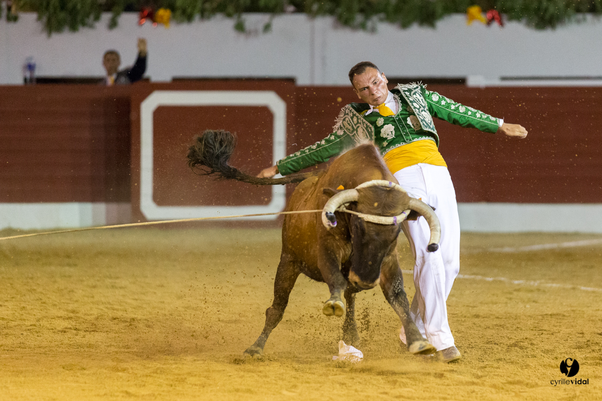 Aire sur l'Adour course landaise génération Aturine