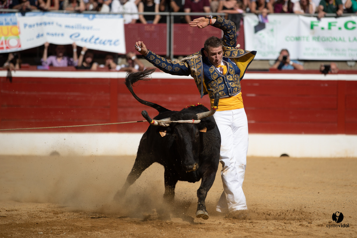 Mont-de-Marsan championnat de France de course landaise 2019