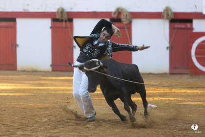 Course landaise à Panjas