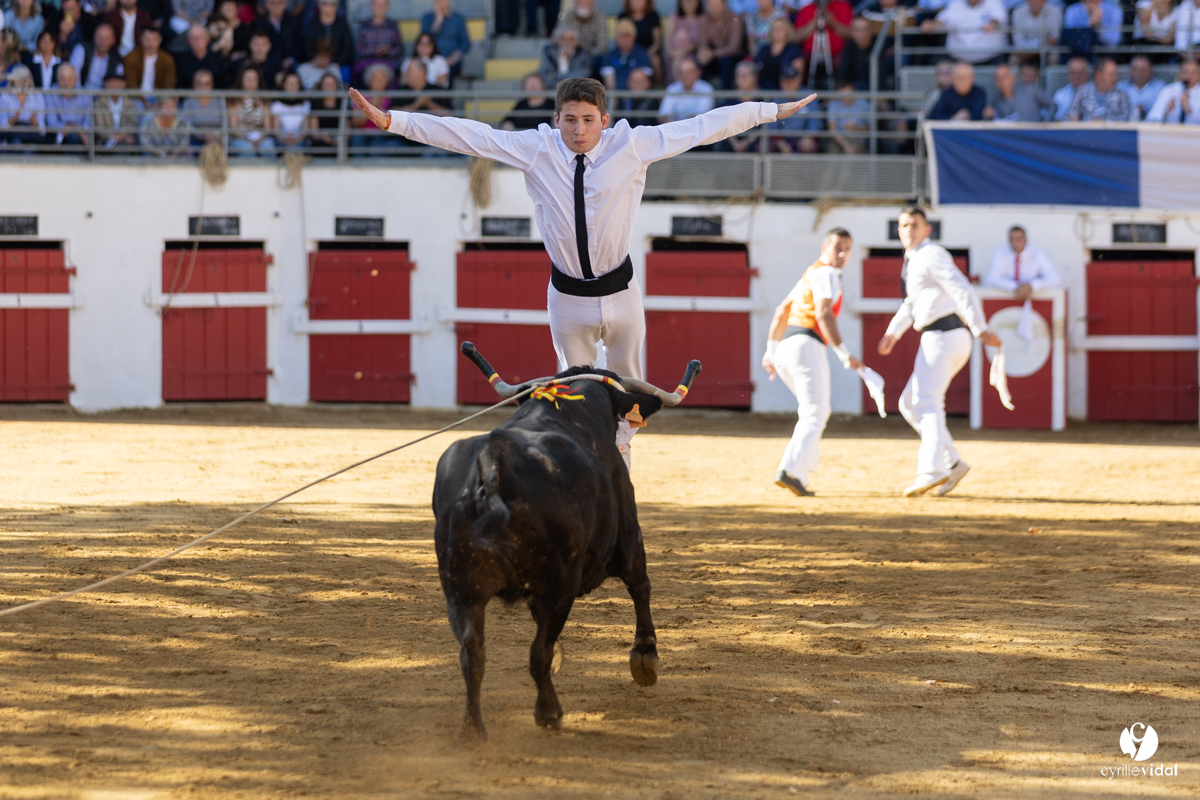 Nogaro Championnat de France de course landaise 2022