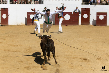 Saint-Cricq Chalosse course landaise de promotion Ganadéria Deyris Cuadrilla Jérémy Lafitte