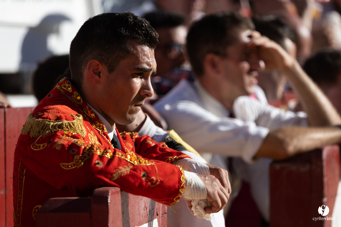 Aire-sur-l'Adour Championnat de France de course landaise 2023