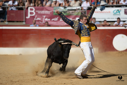 Mont-de-Marsan championnat de France de course landaise 2019