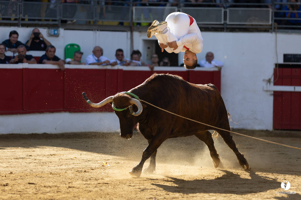 Nogaro Championnat de France de course landaise 2022