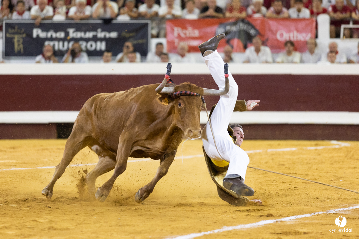 Dax concours landais 2022