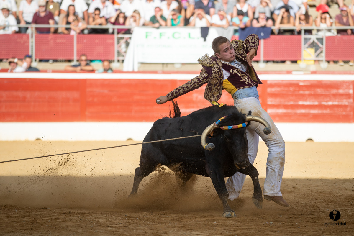 Mont-de-Marsan championnat de France de course landaise 2019