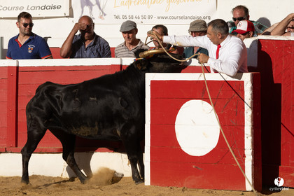 Nogaro Corne d'Or 2023