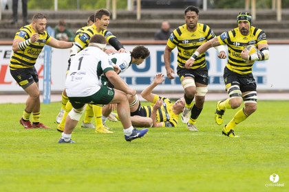 Stade Montois Rugby - Montauban