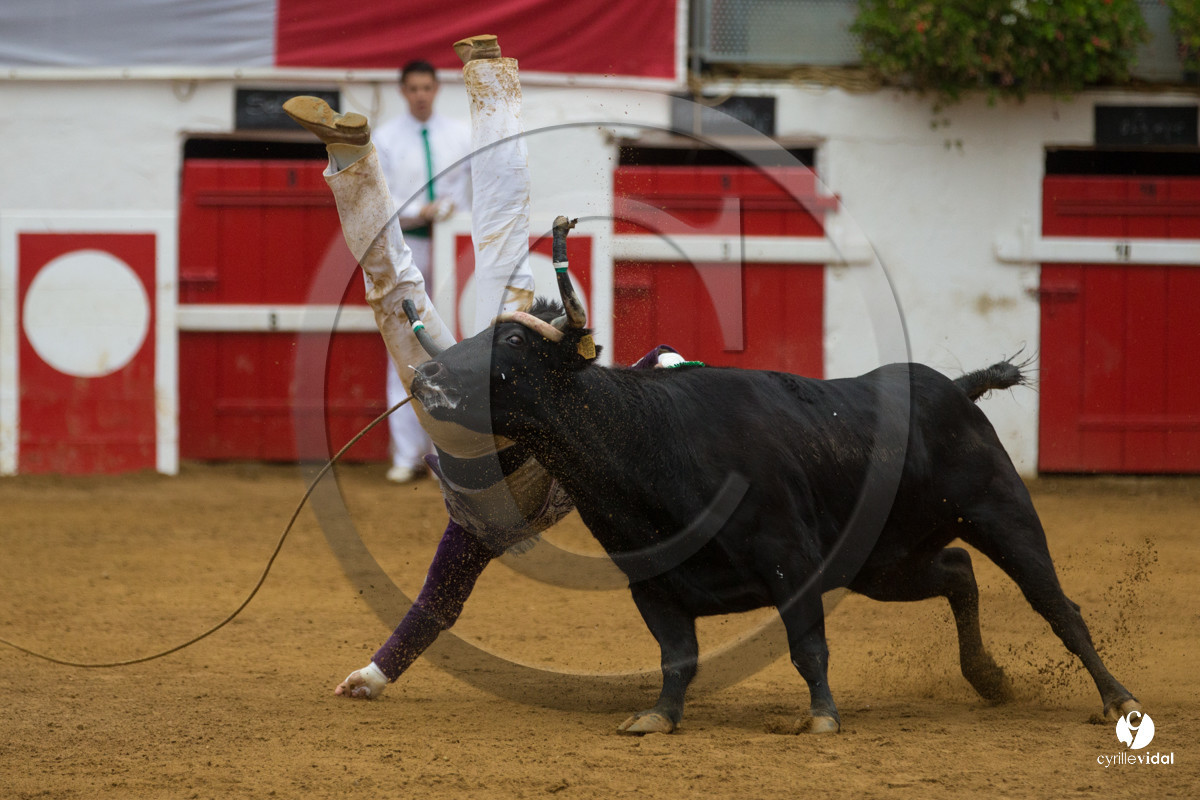 Nogaro Championnatde France de Course Landaise 2017
