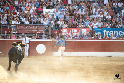 Mont-de-Marsan championnat de France de course landaise 2019