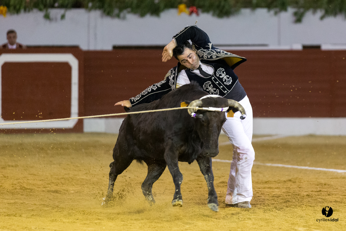 Aire sur l'Adour course landaise génération Aturine