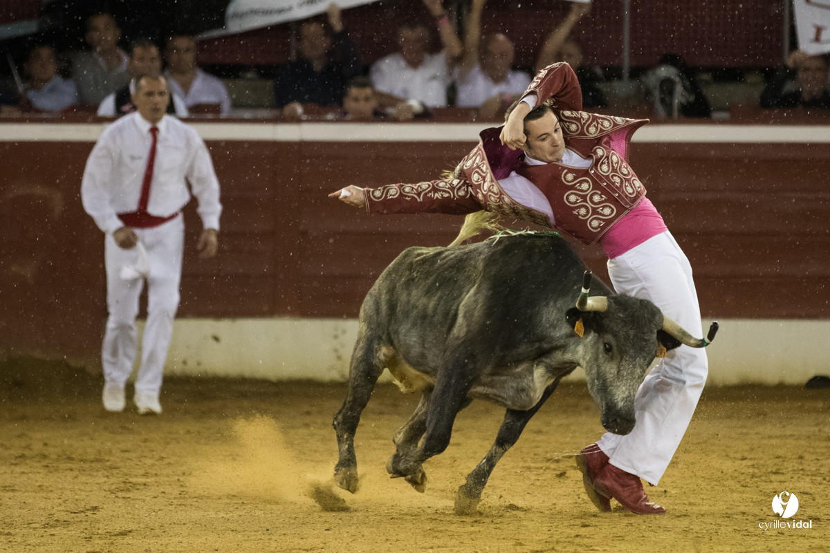 Mont-de-Marsan festival Art et Courage