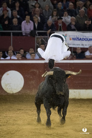 Mont-de-Marsan festival Art et Courage