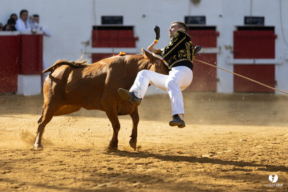 Nogaro Championnat de France de course landaise 2022