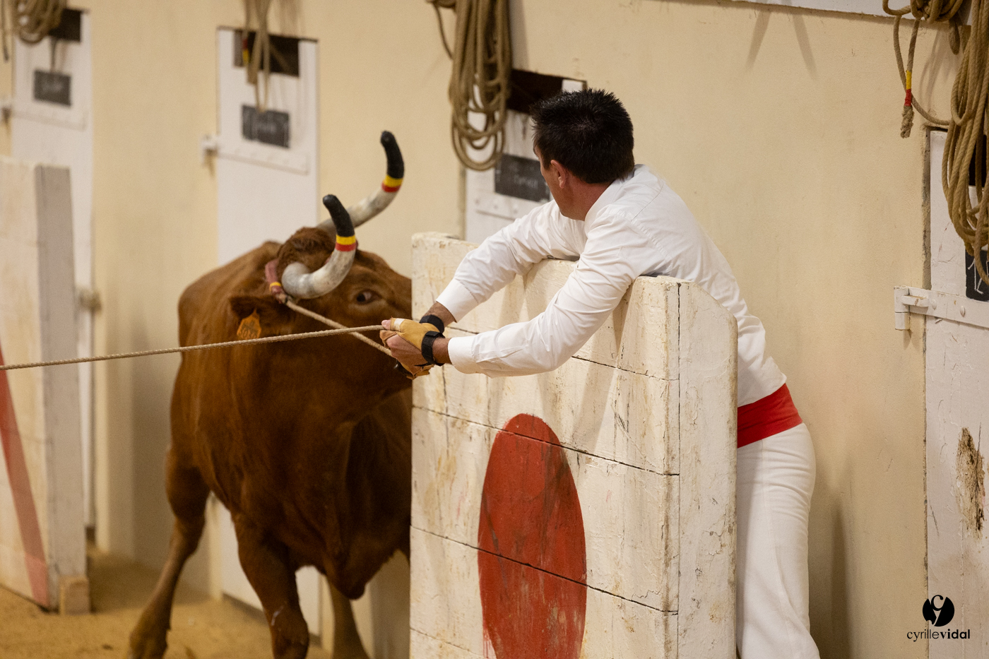 Horsarrieu course landaise du boléro d'Argent