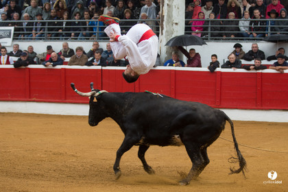 Nogaro Championnatde France de Course Landaise 2017