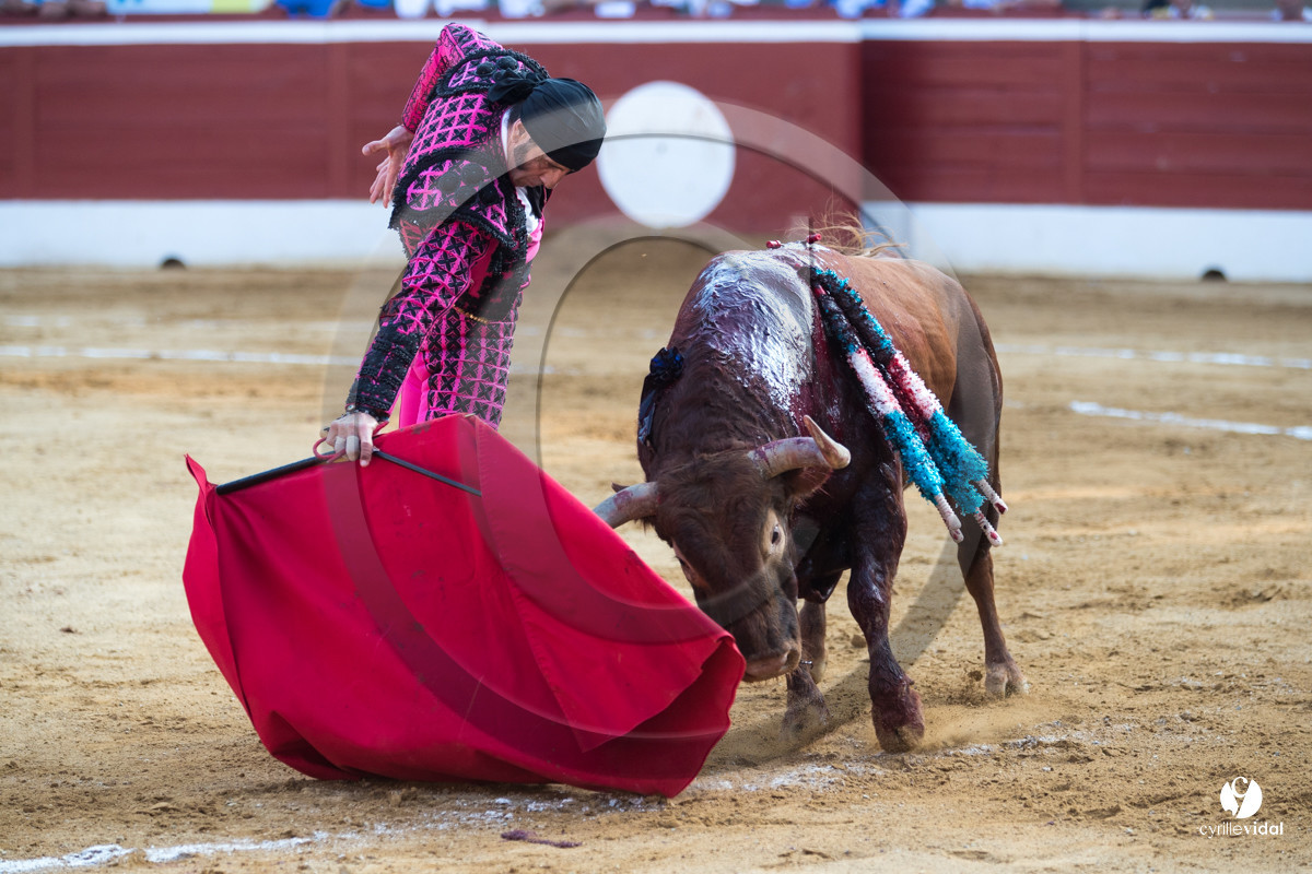 Mont-de-Marsan corrida de Jandilla pour Padilla - Talavante - Roca Rey