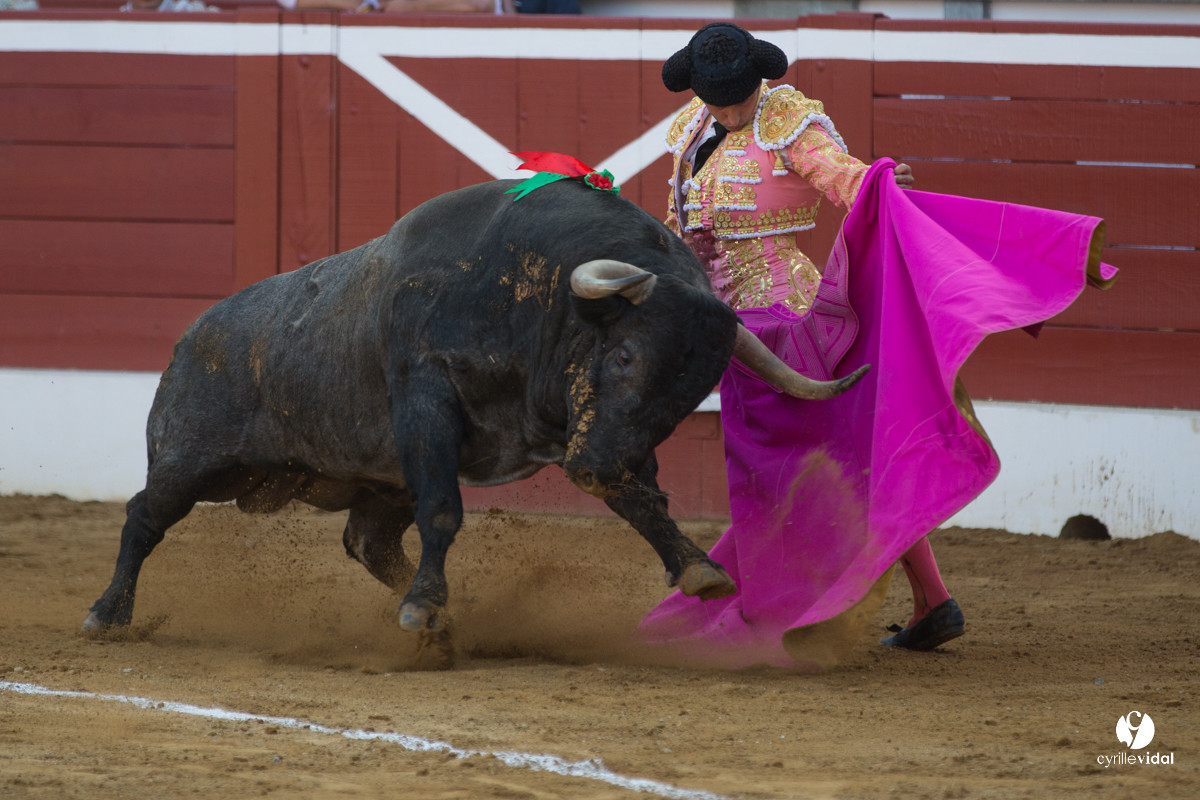 Mont-de-Marsan corrida d'Adolfo Martin