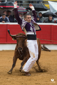 Nogaro Championnatde France de Course Landaise 2017