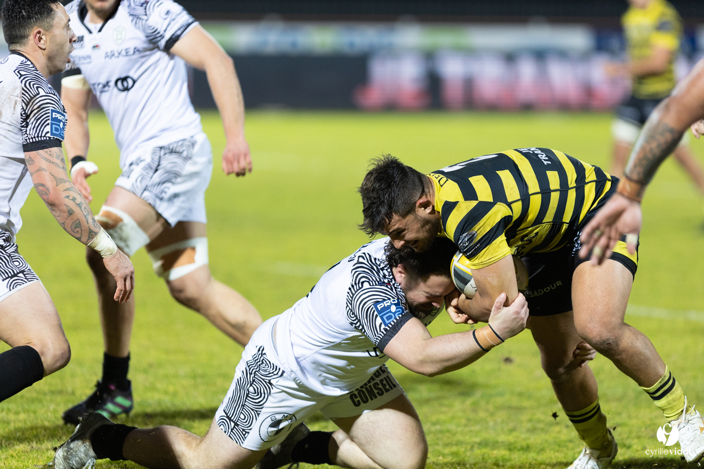 Stade Montois Rugby - Vannes