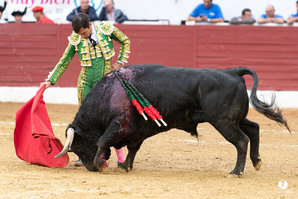 Corrida d'Aire sur l'Adour