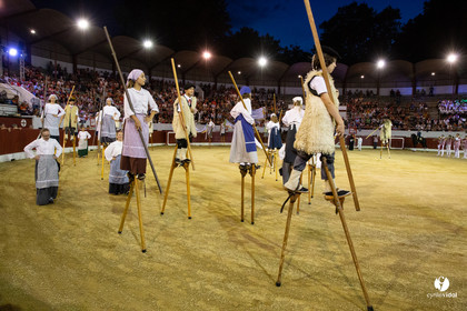 Landes émotions à Aire-sur-l'Adour