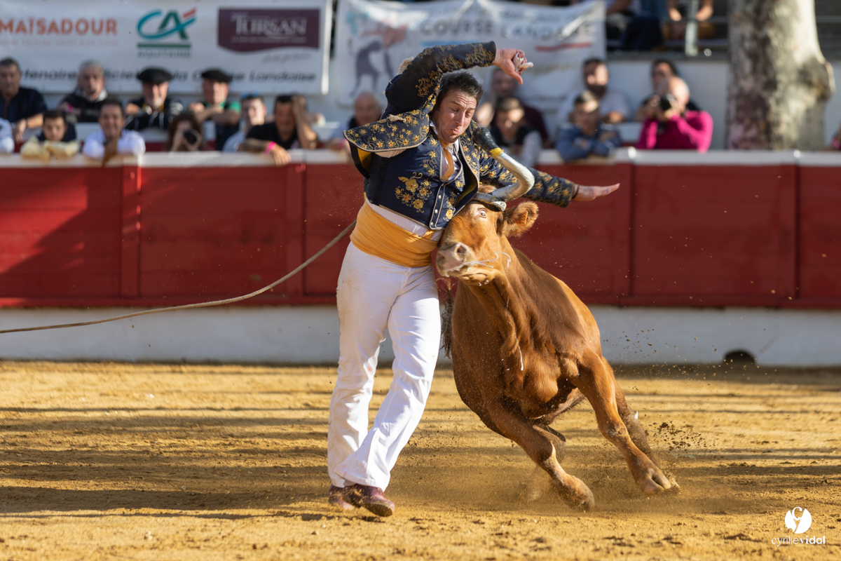 Nogaro Championnat de France de course landaise 2022