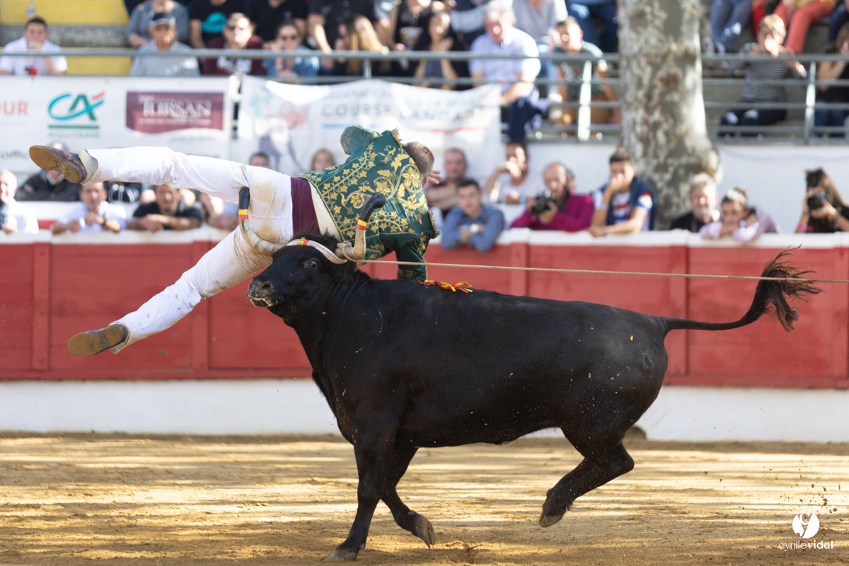 Nogaro Championnat de France de course landaise 2022