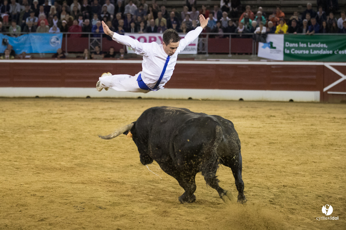 Mont-de-Marsan festival Art et Courage