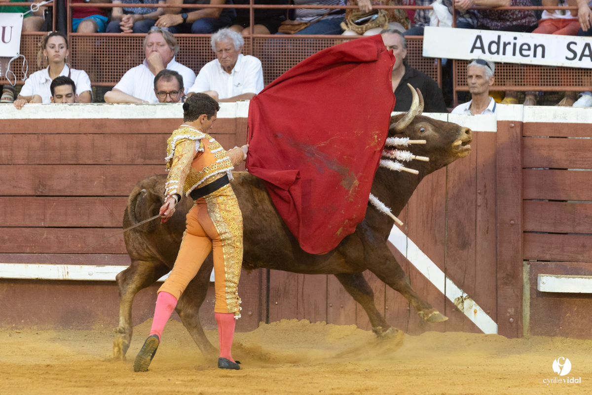 Corrida de Villeneuve-de-Marsan